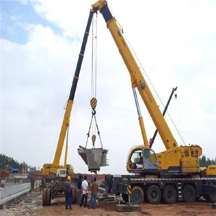 后湖管理区小型吊机出租电话|厂房设备吊装方案|24小时服务覆盖